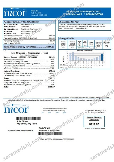 USA Illinois Nicor gas utility bill template in Word and PDF format